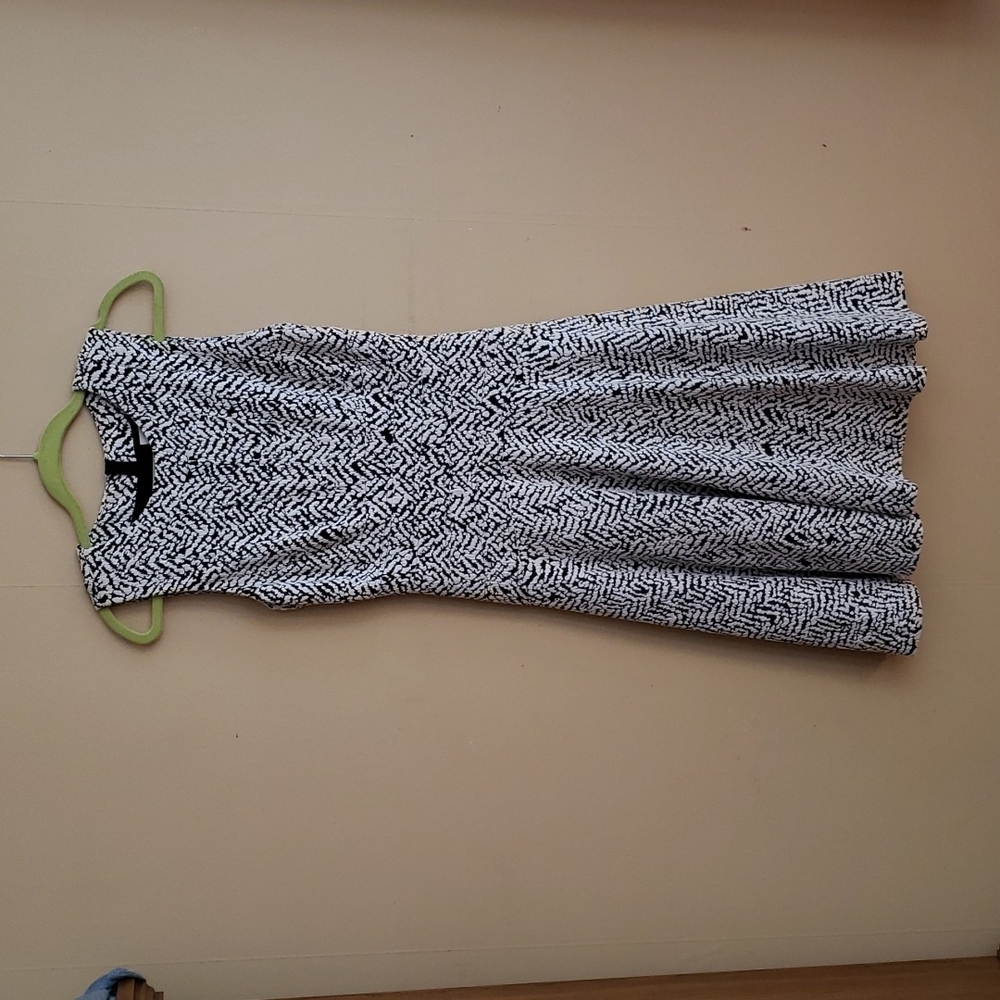 Fit and flare dress.